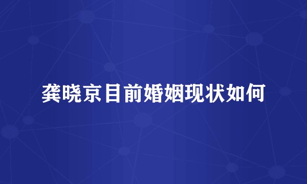 龚晓京目前婚姻现状如何
