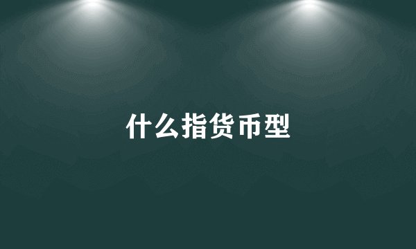 什么指货币型