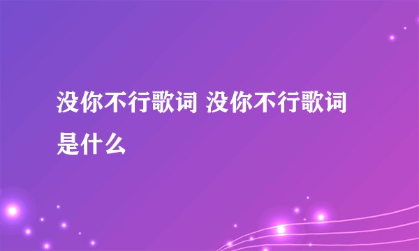 没你不行歌词 没你不行歌词是什么