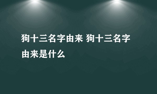 狗十三名字由来 狗十三名字由来是什么