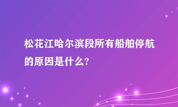 松花江哈尔滨段所有船舶停航的原因是什么?