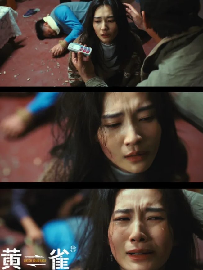 电视剧《黄雀》分集剧情