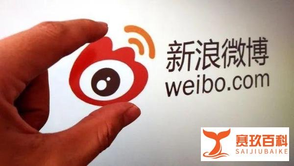 新浪低调退市，只为重回舞台中心？| 财智观点