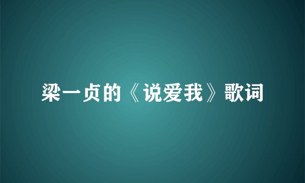 梁一贞的《说爱我》歌词