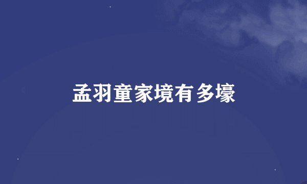 孟羽童家境有多壕