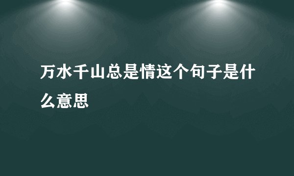万水千山总是情这个句子是什么意思
