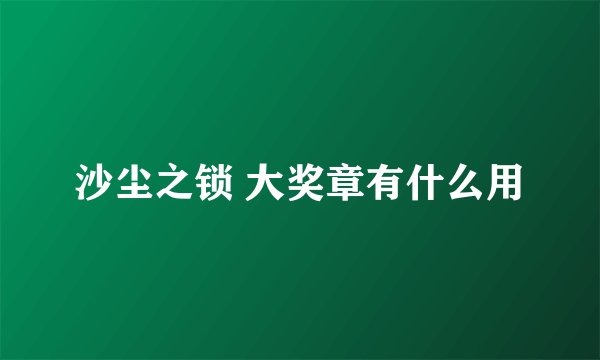 沙尘之锁 大奖章有什么用
