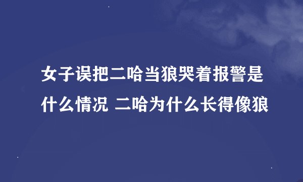 女子误把二哈当狼哭着报警是什么情况 二哈为什么长得像狼