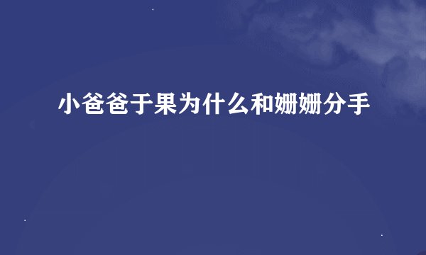 小爸爸于果为什么和姗姗分手