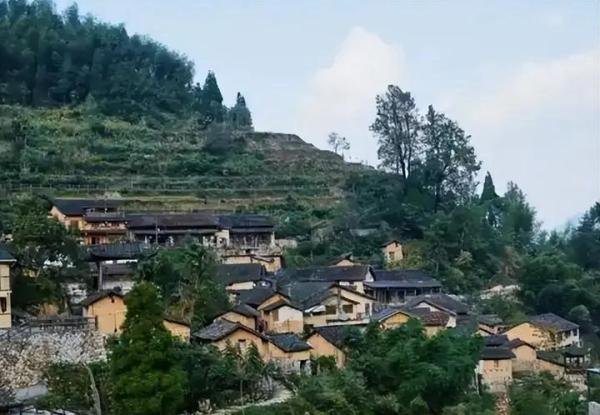57岁亿万富豪姚南山，爱上农妇放弃产业进山，如今10年过去了，他后悔了吗？
