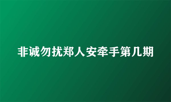 非诚勿扰郑人安牵手第几期