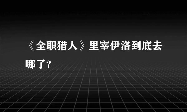 《全职猎人》里宰伊洛到底去哪了?