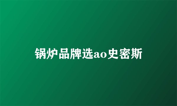 锅炉品牌选ao史密斯