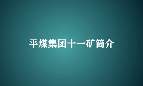 平煤集团十一矿简介