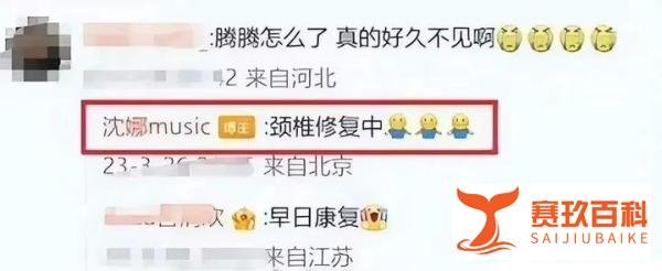 沈腾的瓜