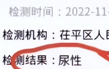 男子为好玩,将核酸结果P图为尿性,如何看待这一做法?他会被怎样处罚呢?