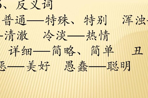 特殊的反义词是什么 标准答案