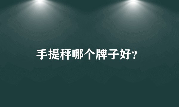 手提秤哪个牌子好？