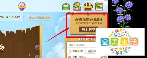 如何让花藤在空间显示？qq空间怎样显示花藤？