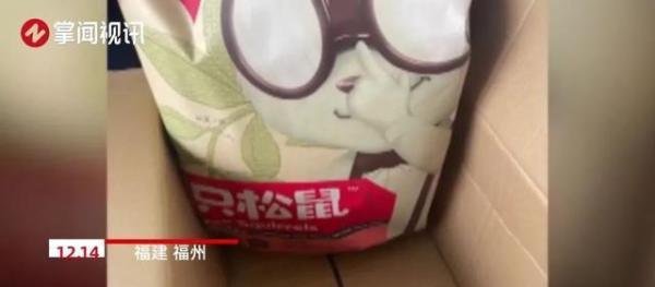 小伙拆三只松鼠快递箱发现一只仓鼠 这是咋情况？
