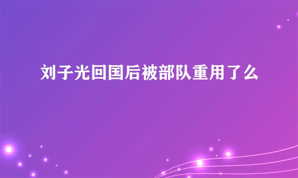 刘子光回国后被部队重用了么