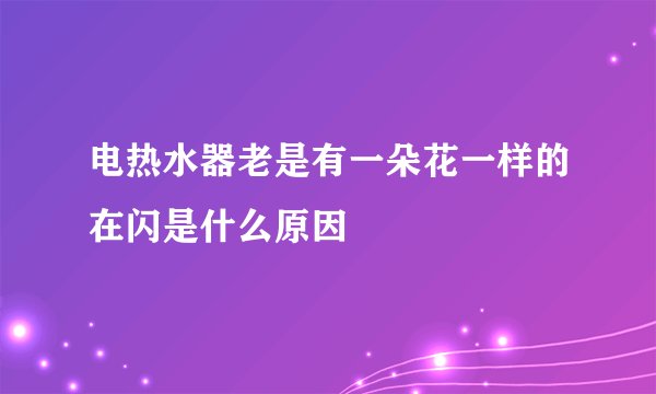 电热水器老是有一朵花一样的在闪是什么原因