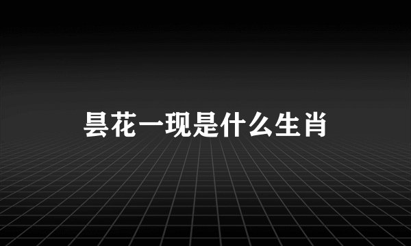 昙花一现是什么生肖
