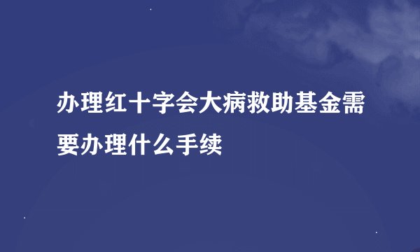 办理红十字会大病救助基金需要办理什么手续