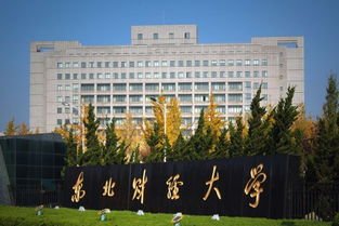 东北财经大学包机送大学生回家,你是如何看待这件事情的?