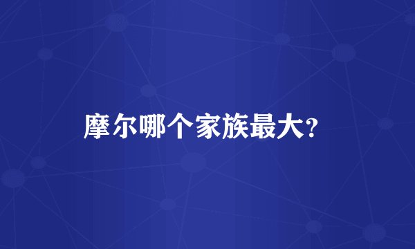 摩尔哪个家族最大？