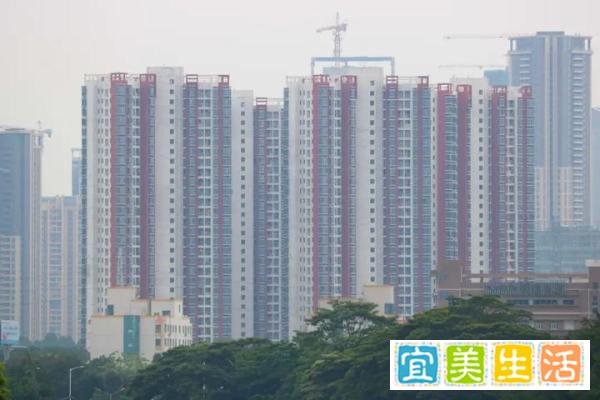 投查查：7折没人要！深圳学区房大崩盘，更可怕的还在后面
