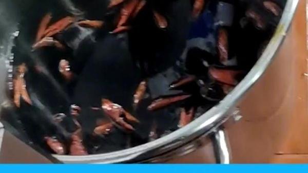 武汉一知名虾店用黑油死虾 网友:这种黑心商家要罚到它破产