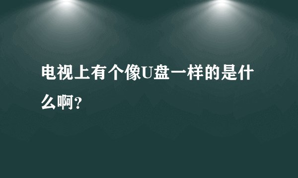 电视上有个像U盘一样的是什么啊？