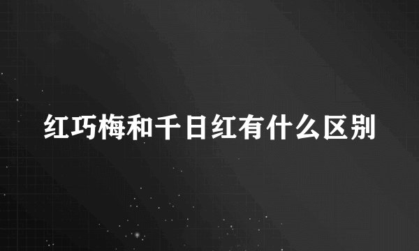 红巧梅和千日红有什么区别