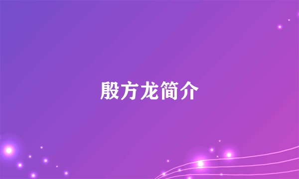 殷方龙简介