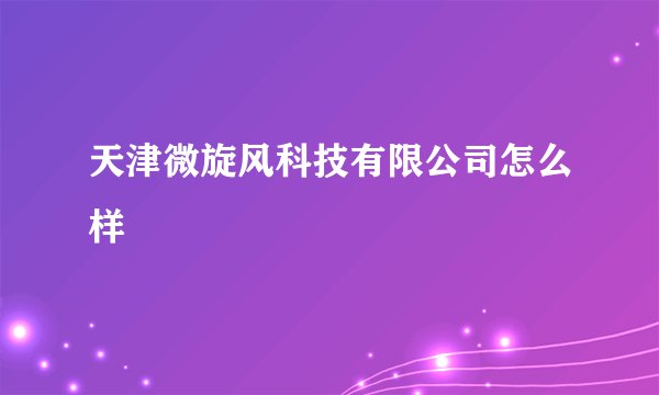 天津微旋风科技有限公司怎么样