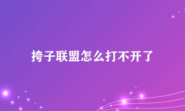 挎子联盟怎么打不开了