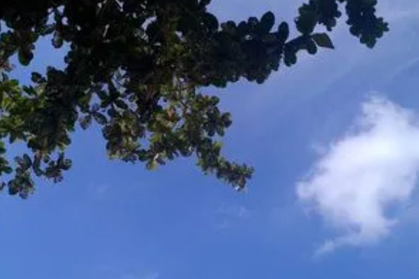 放一怎么写