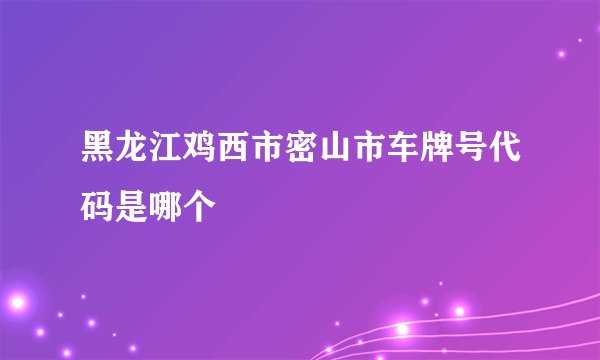 黑龙江鸡西市密山市车牌号代码是哪个