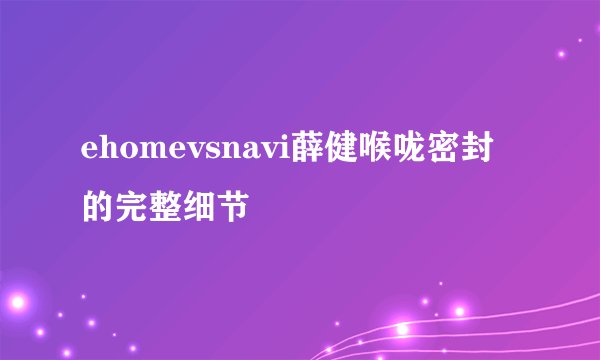 ehomevsnavi薛健喉咙密封的完整细节
