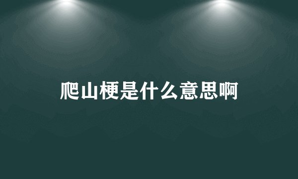 爬山梗是什么意思啊
