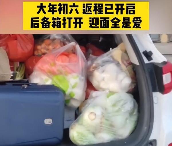 爱的“后备箱”：塞了7个烂石榴，家的味道，永不过期！