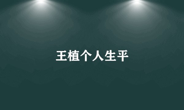 王植个人生平