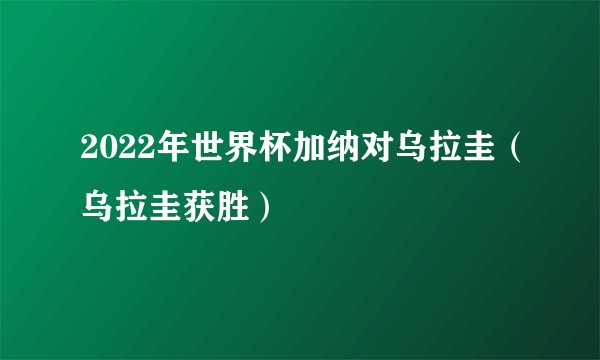 2022年世界杯加纳对乌拉圭（乌拉圭获胜）