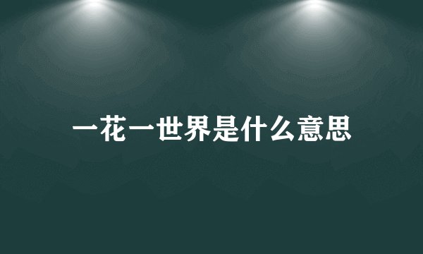 一花一世界是什么意思