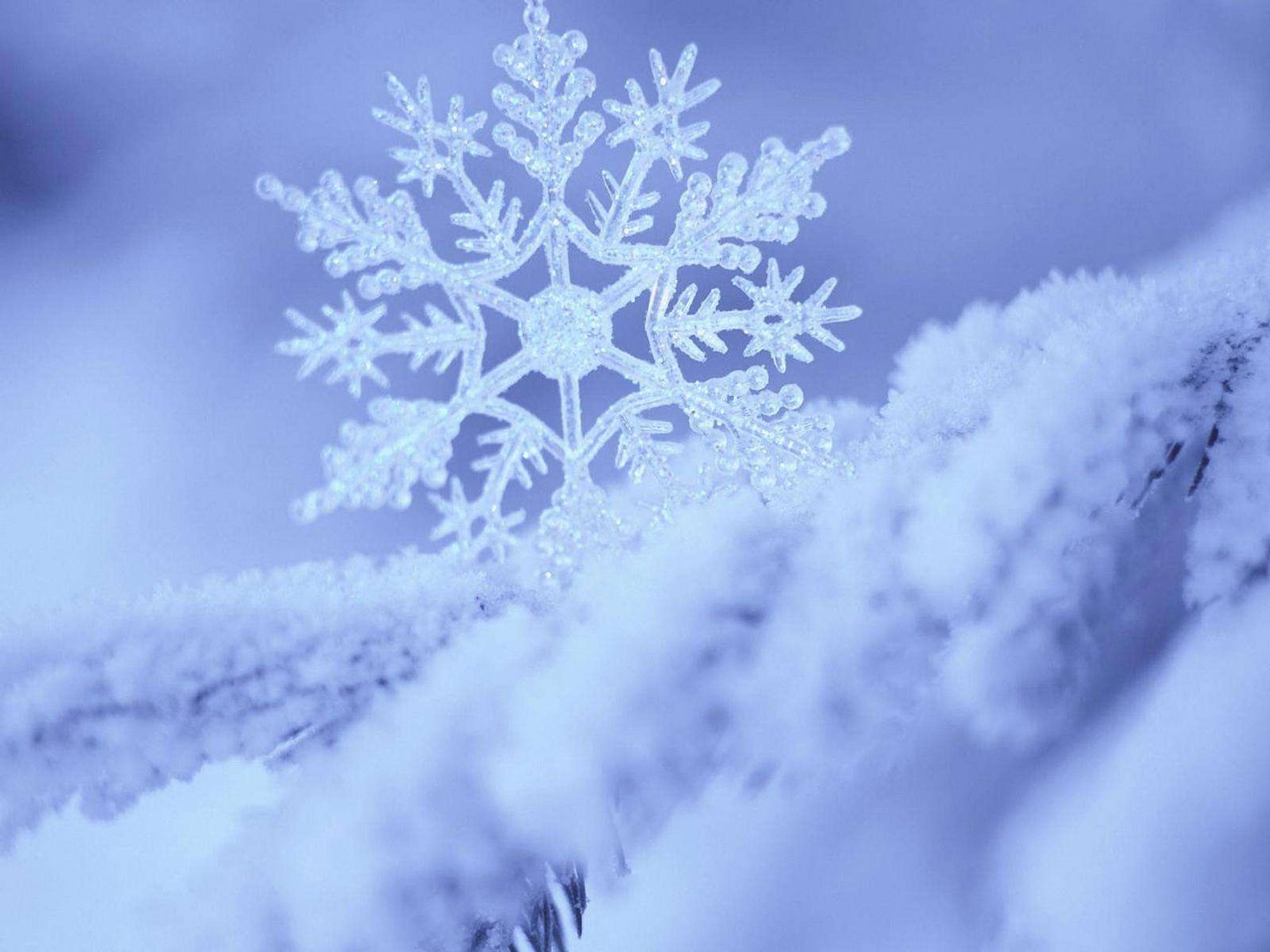 雪落下的声音歌词是什么？