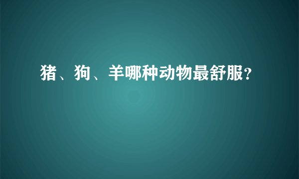 猪、狗、羊哪种动物最舒服？