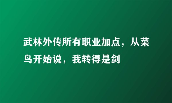 武林外传所有职业加点，从菜鸟开始说，我转得是剑