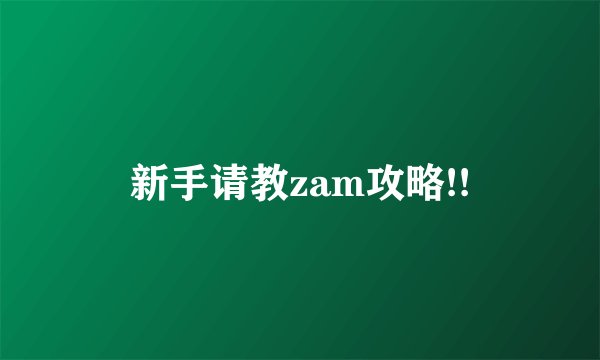新手请教zam攻略!!