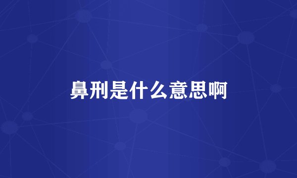 鼻刑是什么意思啊